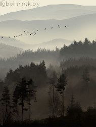 Фотообои De-Art Лес и горы